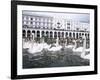 Swans in Front of the Alster Arcades in the Altstadt (Old Town), Hamburg, Germany-Yadid Levy-Framed Photographic Print