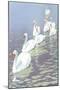 Swans in Line-null-Mounted Art Print