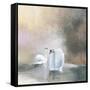 Swans in Mist-Julia Purinton-Framed Stretched Canvas