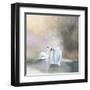 Swans in Mist-Julia Purinton-Framed Art Print