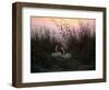 Swans in the Reeds, C1794-C1831-Caspar David Friedrich-Framed Giclee Print