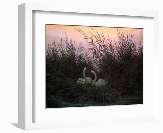 Swans in the Reeds, C1794-C1831-Caspar David Friedrich-Framed Giclee Print