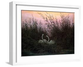 Swans in the Reeds, C1794-C1831-Caspar David Friedrich-Framed Giclee Print