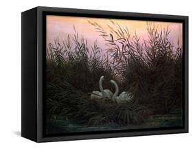 Swans in the Reeds, C1794-C1831-Caspar David Friedrich-Framed Stretched Canvas
