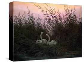 Swans in the Reeds, C1794-C1831-Caspar David Friedrich-Stretched Canvas