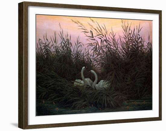 Swans in the Reeds, C1794-C1831-Caspar David Friedrich-Framed Giclee Print