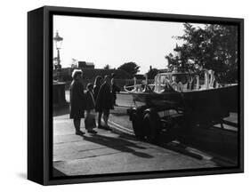 Swans in Transit-null-Framed Stretched Canvas