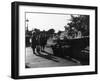 Swans in Transit-null-Framed Photographic Print