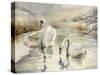 Swans in Winter-Karen Armitage-Stretched Canvas