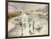 Swans in Winter-Karen Armitage-Framed Giclee Print