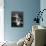 Swans Landing-null-Photographic Print displayed on a wall