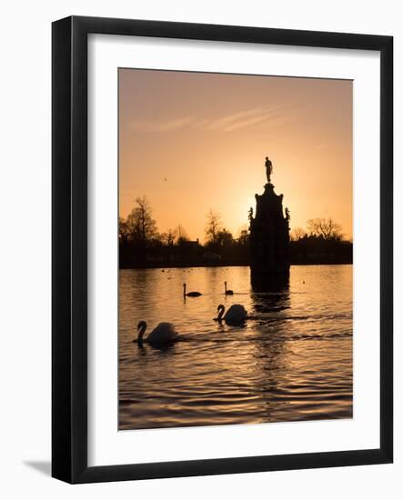 Swans On Lake-Charles Bowman-Framed Photographic Print