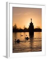 Swans On Lake-Charles Bowman-Framed Photographic Print