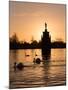 Swans On Lake-Charles Bowman-Mounted Photographic Print