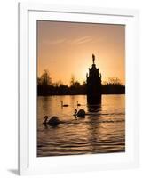 Swans On Lake-Charles Bowman-Framed Photographic Print