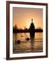 Swans On Lake-Charles Bowman-Framed Photographic Print