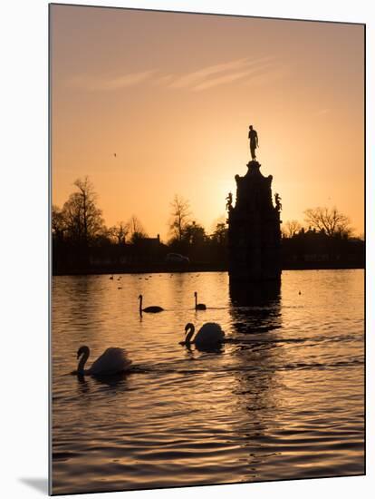 Swans On Lake-Charles Bowman-Mounted Photographic Print