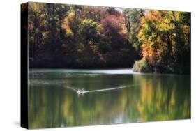 Swans on the Lake I-Alan Hausenflock-Stretched Canvas