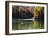 Swans on the Lake I-Alan Hausenflock-Framed Photographic Print