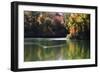 Swans on the Lake I-Alan Hausenflock-Framed Photographic Print