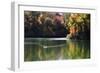 Swans on the Lake I-Alan Hausenflock-Framed Photographic Print