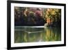 Swans on the Lake I-Alan Hausenflock-Framed Photographic Print