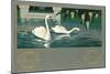 Swans on the Lake-null-Mounted Art Print