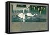 Swans on the Lake-null-Framed Stretched Canvas