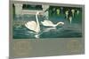 Swans on the Lake-null-Mounted Premium Giclee Print