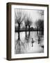 Swans on the Ouse-null-Framed Photographic Print