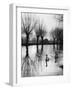 Swans on the Ouse-null-Framed Photographic Print