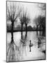 Swans on the Ouse-null-Mounted Photographic Print