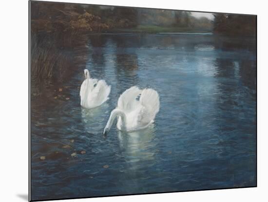 Swans on the River, C.1880-Fritz Thaulow-Mounted Giclee Print