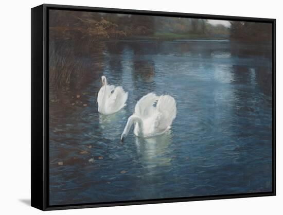 Swans on the River, C.1880-Fritz Thaulow-Framed Stretched Canvas