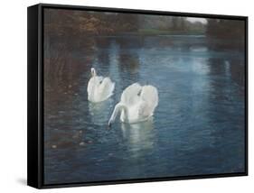 Swans on the River, C.1880-Fritz Thaulow-Framed Stretched Canvas