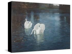 Swans on the River, C.1880-Fritz Thaulow-Stretched Canvas