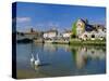 Swans on the River Frome, Wareham, Dorset, England, UK-Ruth Tomlinson-Stretched Canvas