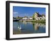 Swans on the River Frome, Wareham, Dorset, England, UK-Ruth Tomlinson-Framed Photographic Print