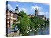 Swans on the River Severn and Cathedral, Worcester, Worcestershire, England, United Kingdom, Europe-David Hughes-Stretched Canvas