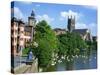 Swans on the River Severn and Cathedral, Worcester, Worcestershire, England, United Kingdom, Europe-David Hughes-Stretched Canvas