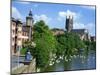 Swans on the River Severn and Cathedral, Worcester, Worcestershire, England, United Kingdom, Europe-David Hughes-Mounted Photographic Print