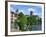 Swans on the River Severn and Cathedral, Worcester, Worcestershire, England, United Kingdom, Europe-David Hughes-Framed Photographic Print