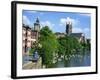 Swans on the River Severn and Cathedral, Worcester, Worcestershire, England, United Kingdom, Europe-David Hughes-Framed Photographic Print