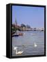 Swans on the River Thames with Suspension Bridge in the Background, England, UK-Charles Bowman-Framed Stretched Canvas