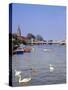 Swans on the River Thames with Suspension Bridge in the Background, England, UK-Charles Bowman-Stretched Canvas