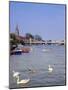 Swans on the River Thames with Suspension Bridge in the Background, England, UK-Charles Bowman-Mounted Photographic Print