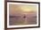 Swans Over Still Waters-Clive Madgwick-Framed Giclee Print