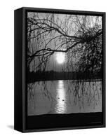 Swans Swimming Through the Moonlight Streaks on Pond-Cornell Capa-Framed Stretched Canvas