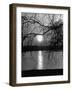 Swans Swimming Through the Moonlight Streaks on Pond-Cornell Capa-Framed Photographic Print