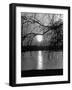 Swans Swimming Through the Moonlight Streaks on Pond-Cornell Capa-Framed Photographic Print